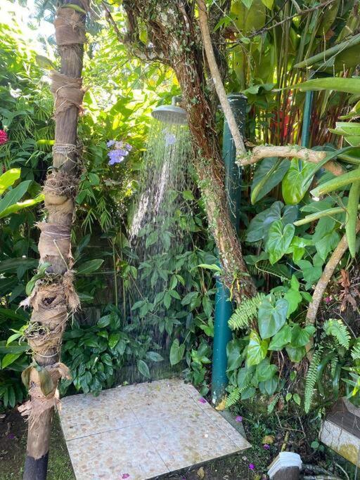 Casa de férias Espaco Maravilhoso Pe Na Areia Enseada 8 Pessoas Ubatuba